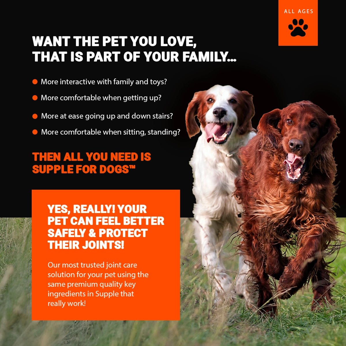 Supple Pets Hip & Joint Care Chews – Dog Joint Supplement for Mobility