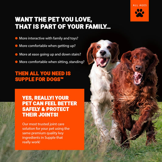 Supple Pets Hip & Joint Care Chews - Dog Joint Supplement for Comfort, Mobility and Flexibility