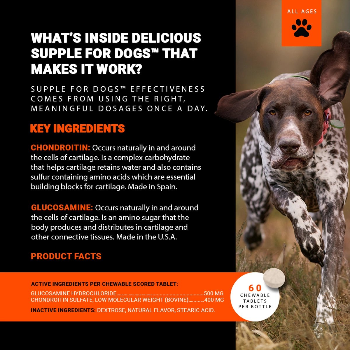 Supple Pets Hip & Joint Care Chews – Dog Joint Supplement for Mobility