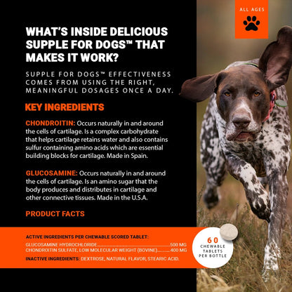 Supple Pets Hip & Joint Care Chews – Dog Joint Supplement for Mobility