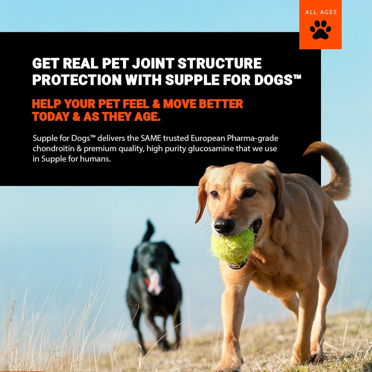 Supple Pets Hip & Joint Care Chews – Dog Joint Supplement for Mobility