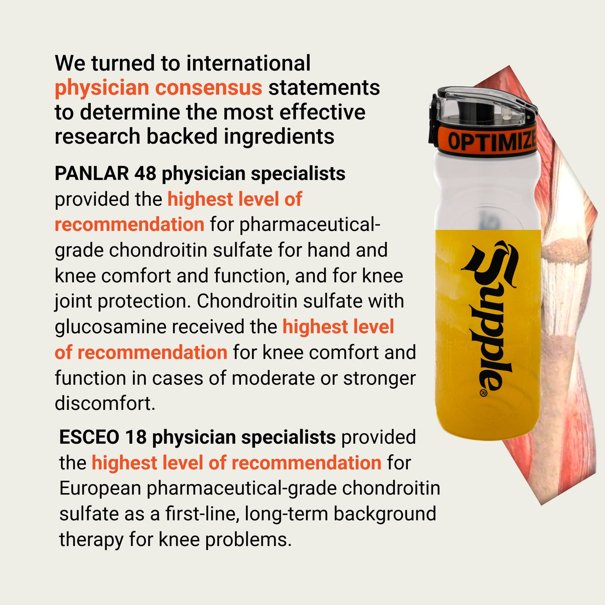 Supple supplement research on joint support supplements, glucosamine chondroitin drink and glucosamine and chondroitin supplements.