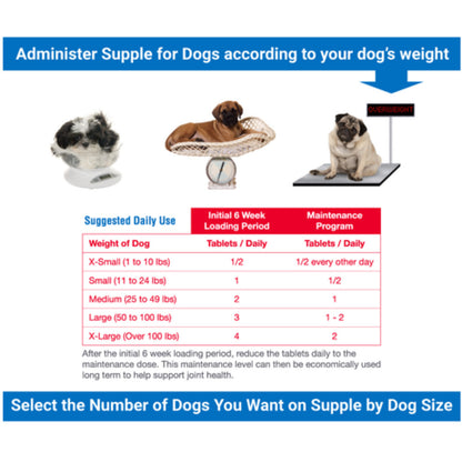 Supple Pets Hip & Joint Care Chews - Dog Joint Supplement for Comfort, Mobility and Flexibility