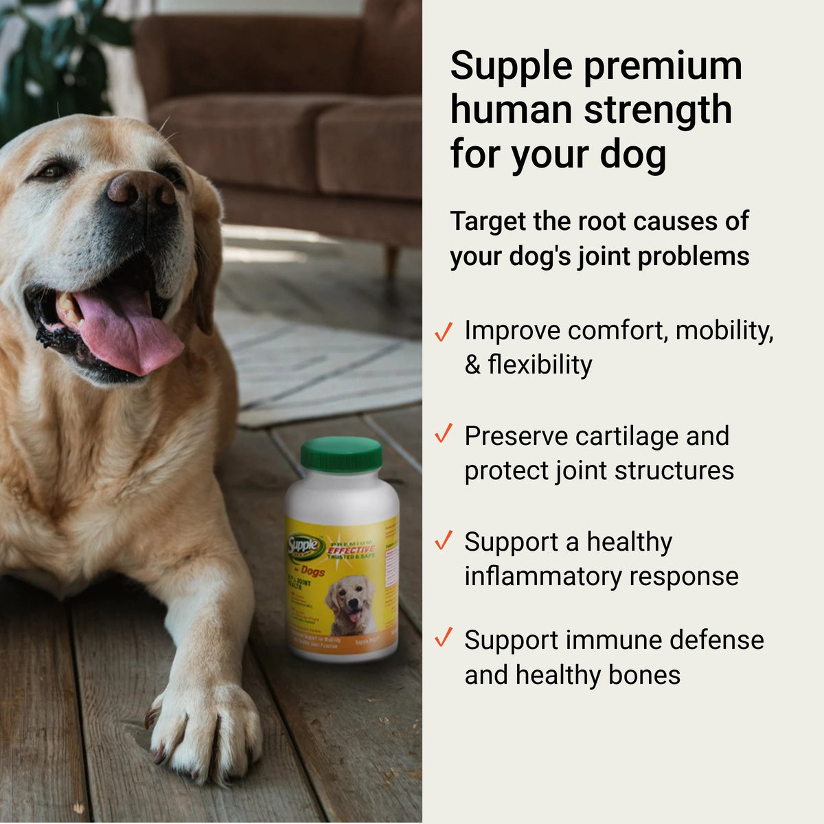 Supple Pets dog joint support chews for joint comfort, joint flexibility, mobility, cartilage protection and healthy bones.