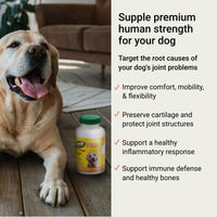 Supple Pets dog joint support chews for joint comfort, joint flexibility, mobility, cartilage protection and healthy bones.