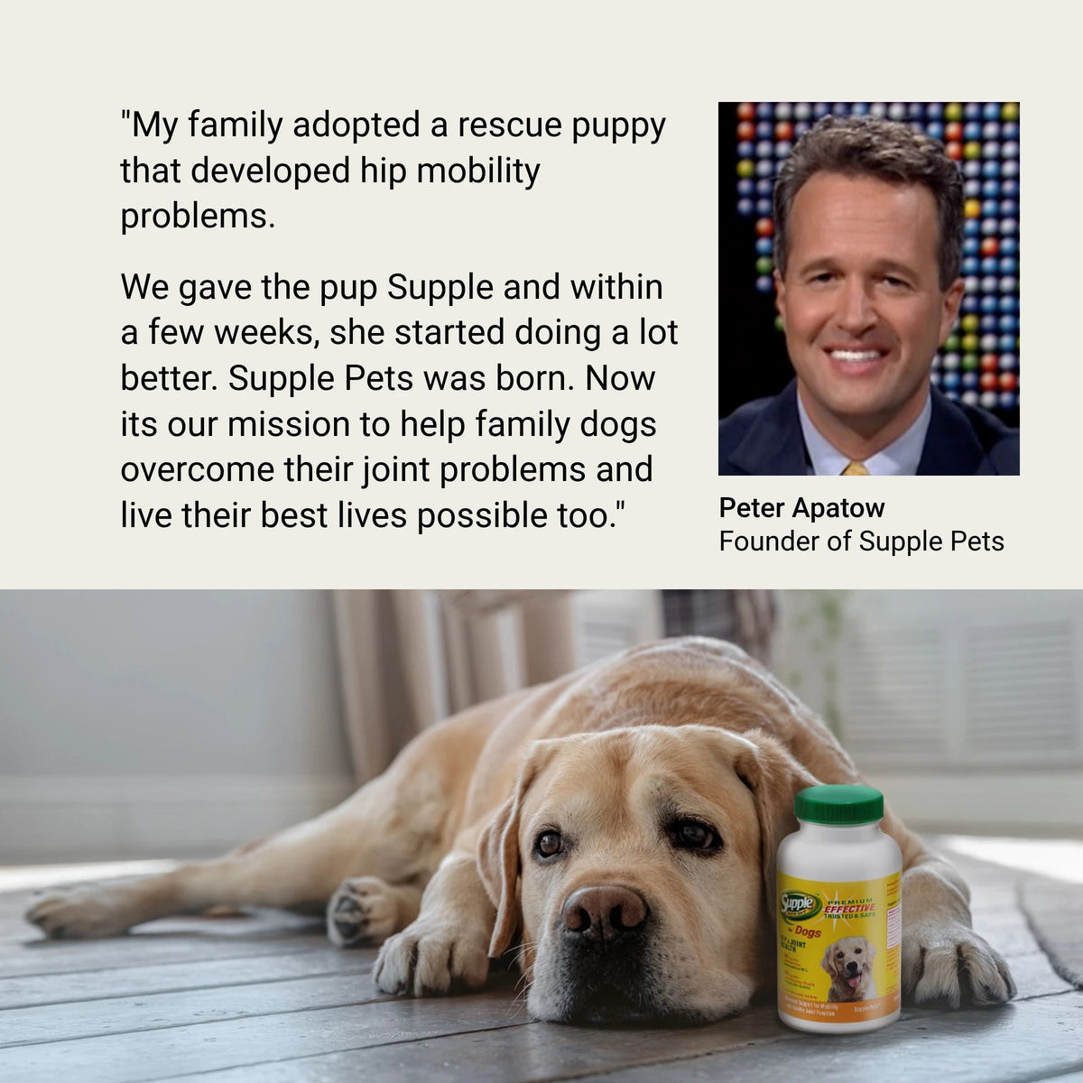 Supple Pets founder story about the rescue puppy that inspired Supple Pets and the mission to provide premium joint health support for dogs.