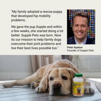 Supple Pets founder story about the rescue puppy that inspired Supple Pets and the mission to provide premium joint health support for dogs.