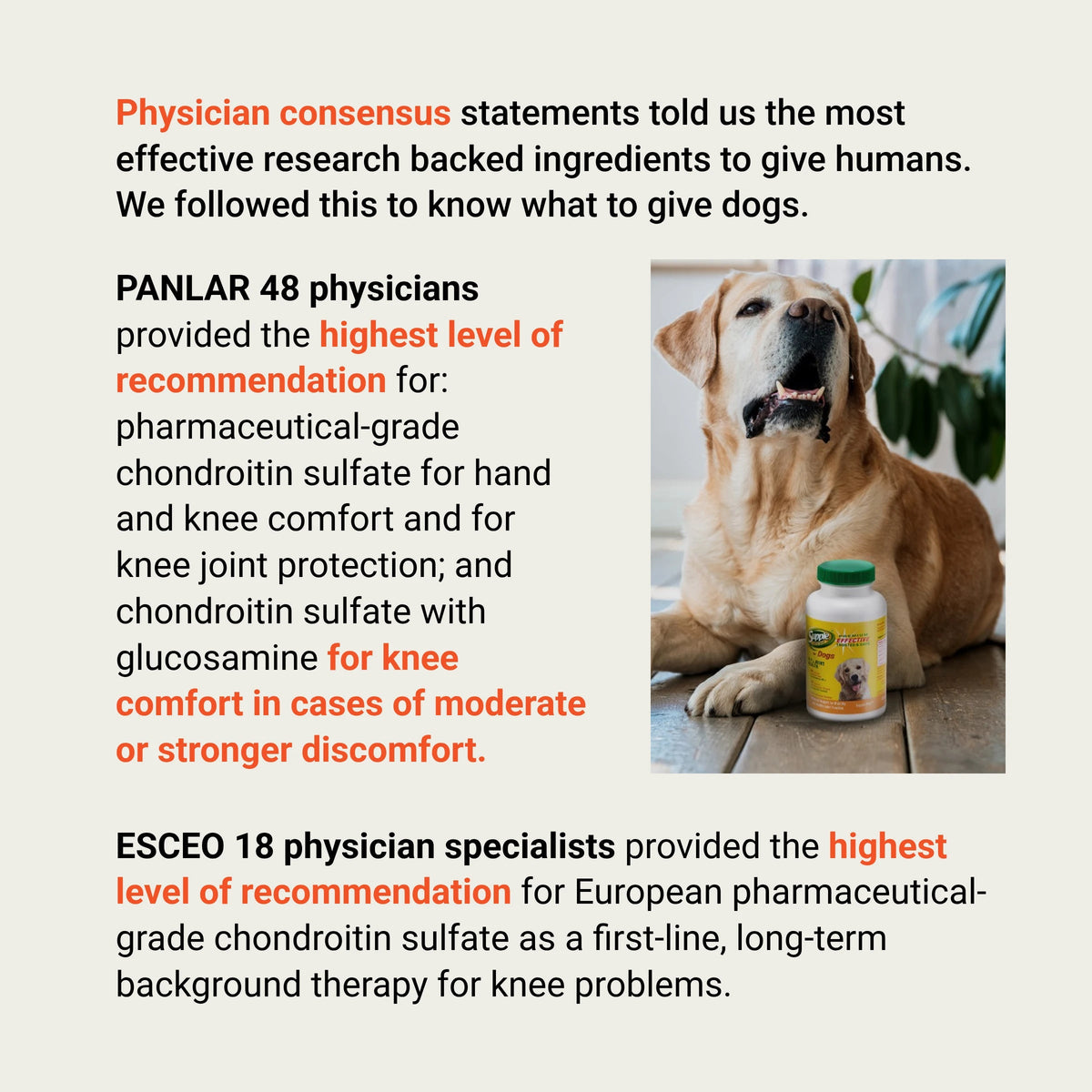 Supple Pets joint health research on glucosamine and chondroitin quality, based on international physician consensus and ingredient standards.
